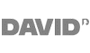 david